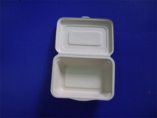 Clamshells   Sw-B-12