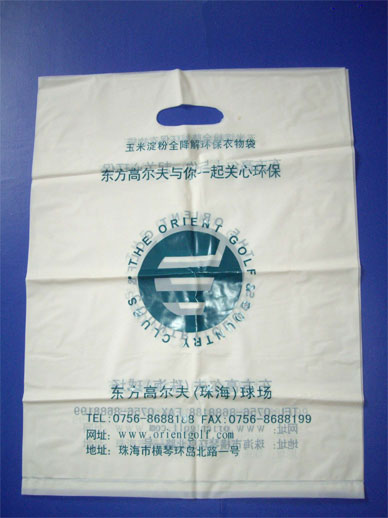 BS0006