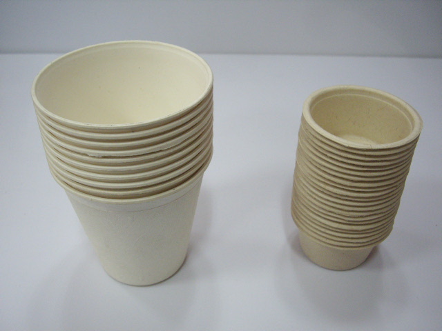 Natural  CUP Sw-L-01