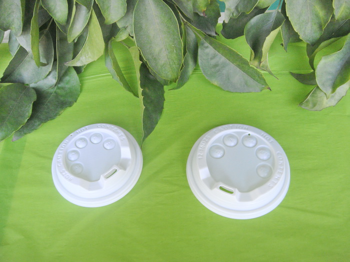 Lid-3