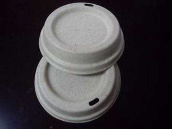 Biodegradable lid